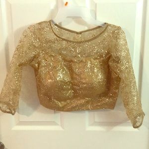 Ethnic Indian Saree blouse gold net work .